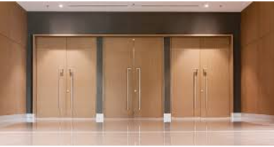 Premium architectural wood door